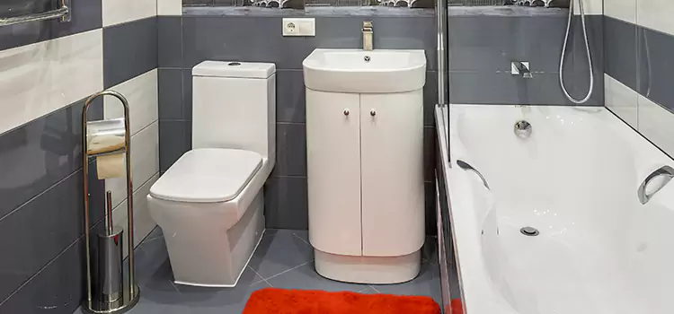 Hansgrohe Shaving Mirror Statesville